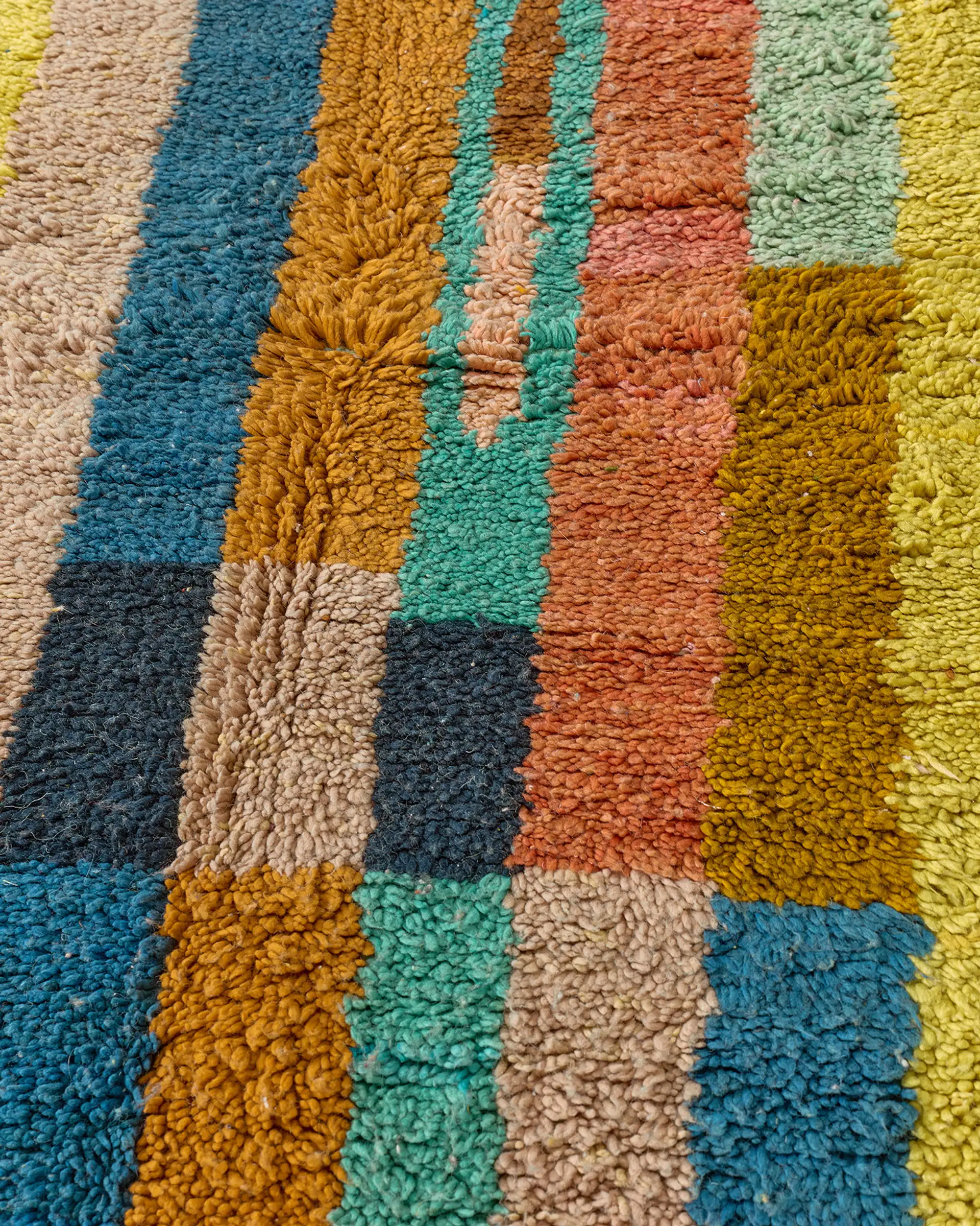 Small Beni w striking colours close-up